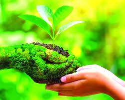 eco-philosophy