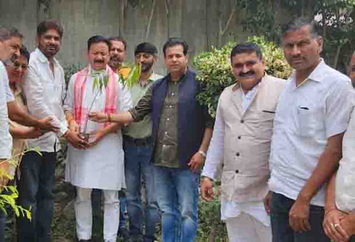 Formulate separate development policy for Himalayan States