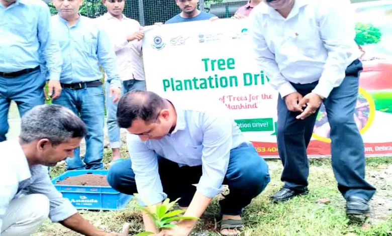Nurturing saplings important after plantation drive: Goyal