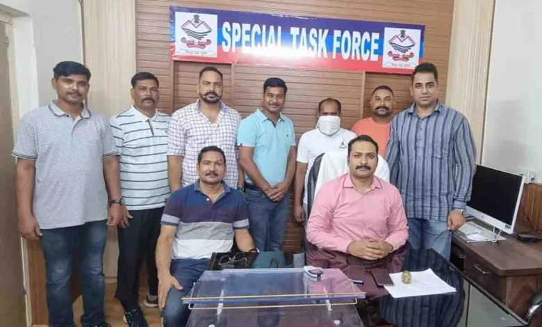 STF arrests cow smuggler