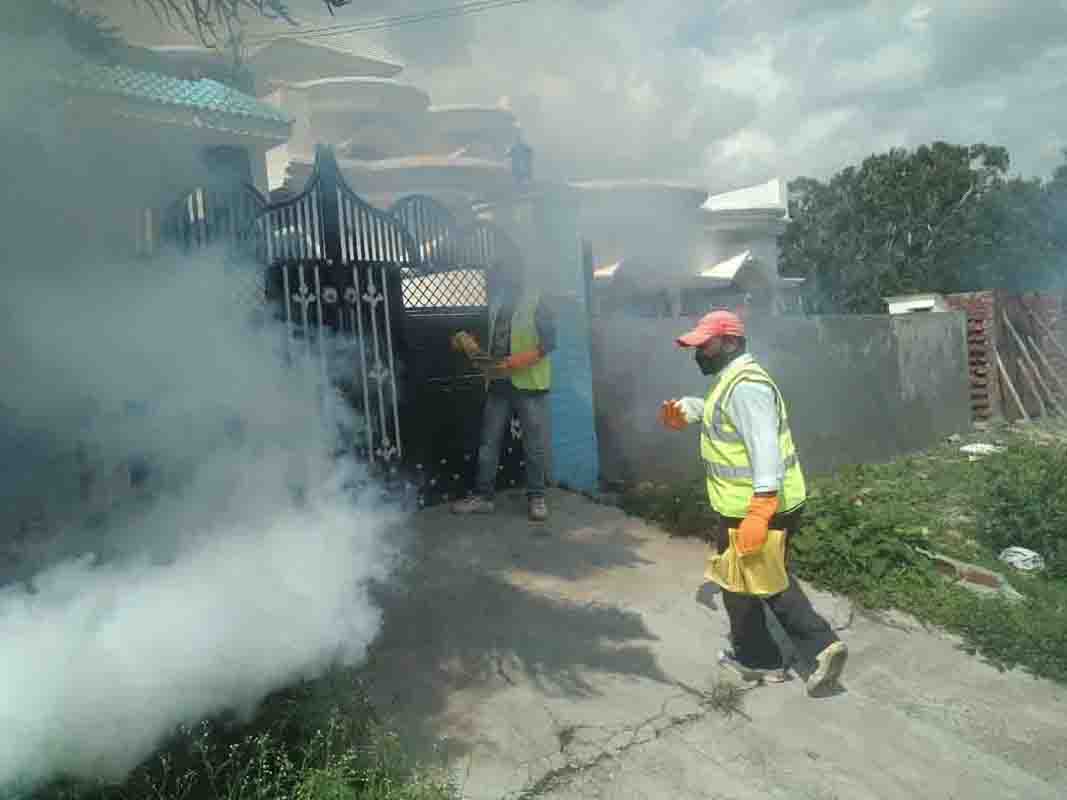 Locals complain of irregular fogging, commissioner asks to complain in MCD