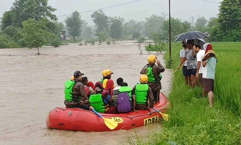 SDRF rescues two pregnant women