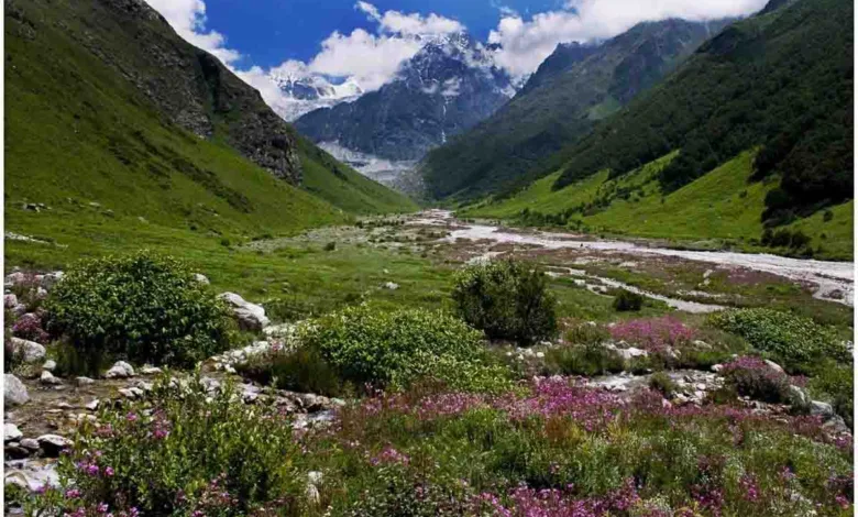 Valley of Flowers