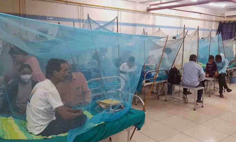 52 new cases take total number of active dengue cases to 267