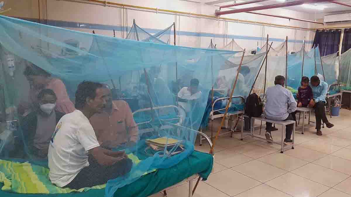52 new cases take total number of active dengue cases to 267