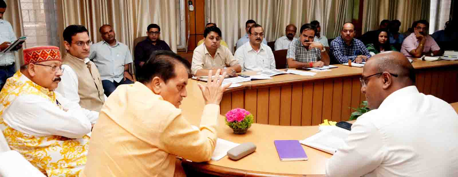 Govt to work on war footing to shelter abandoned bovines