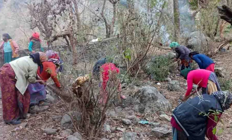 Swachhata Hi Seva Pakhwada