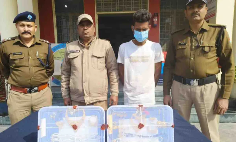 Police arrest HP resident for theft in locked houses