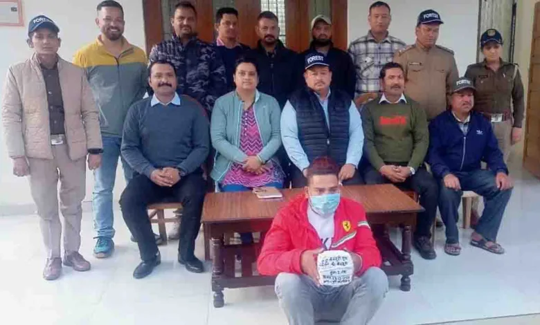 STF arrests Nepalese man with two musk pods