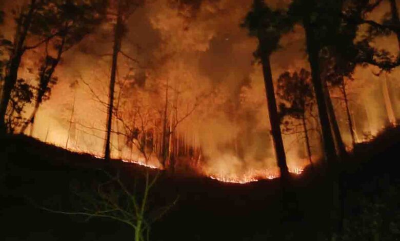 IAF chopper roped in to douse forest fires in Nainital