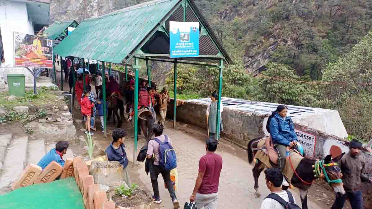 Doctors advise pilgrims to be extra cautious during Char Dham Yatra