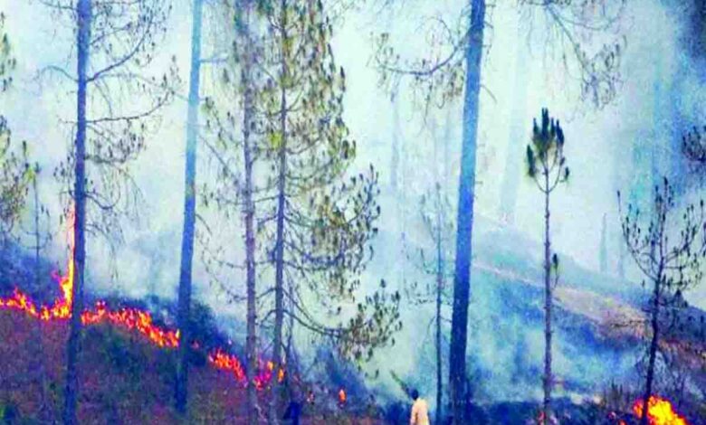 Forest fires continue in State, CM to review status today