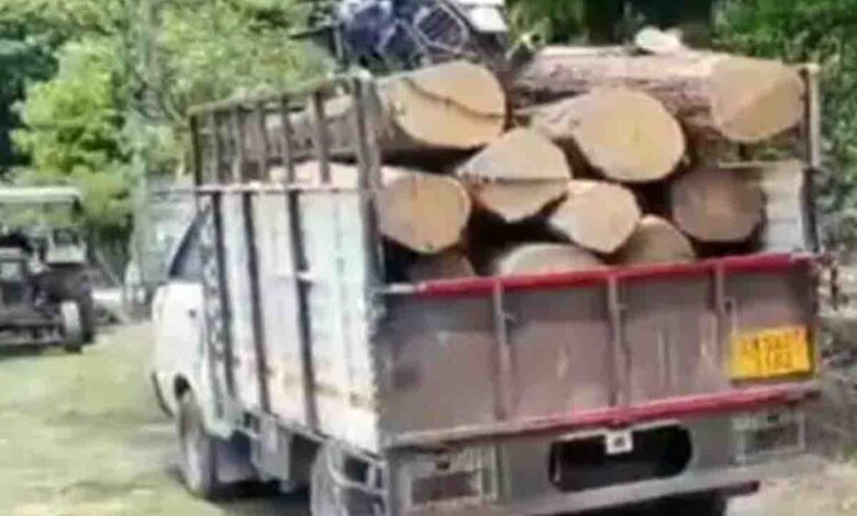 Notorious timber smuggler shot & injured in encounter with Forest personnel