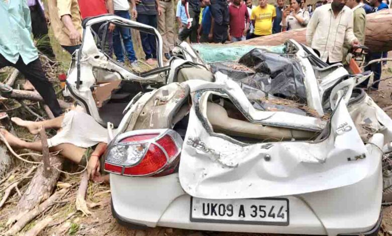 One dead, one injured after falling tree crushes car in stormy conditions