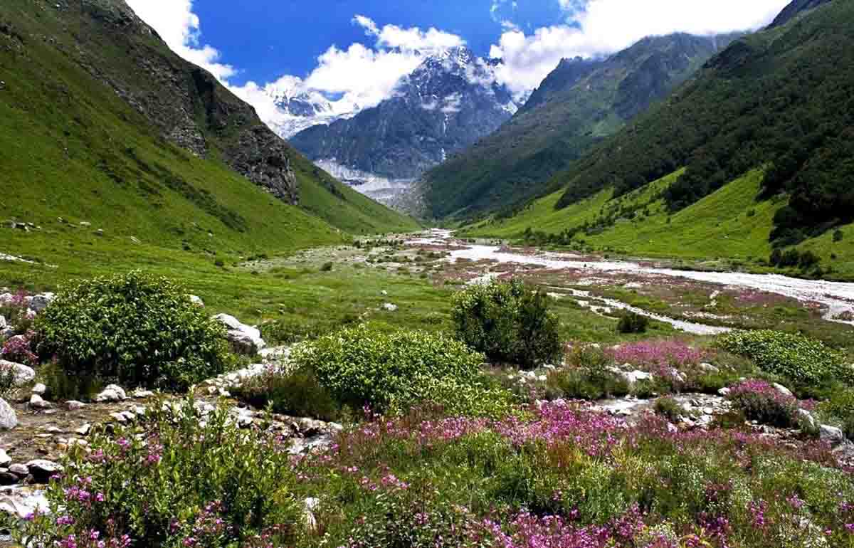 Valley of Flowers to reopen for visitors on June 1
