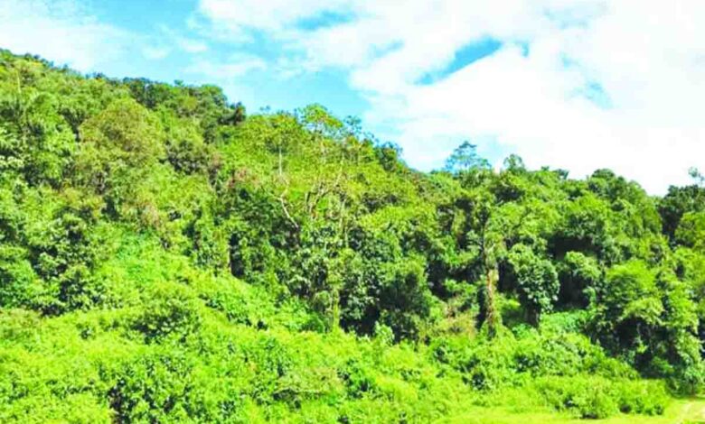 biodiversity