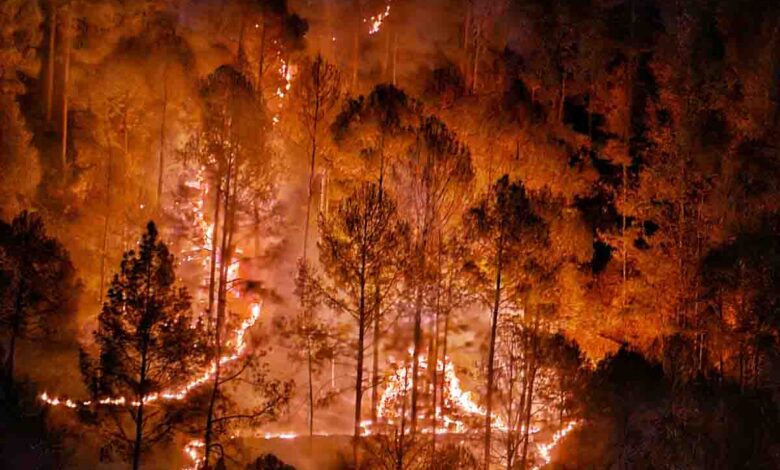 forest fires