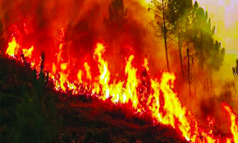 forest fires posing health challenge