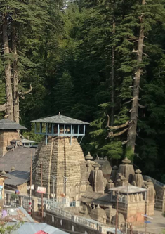 Jageshwar Temple with Deodars forming the backdrop