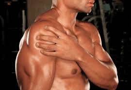 muscle