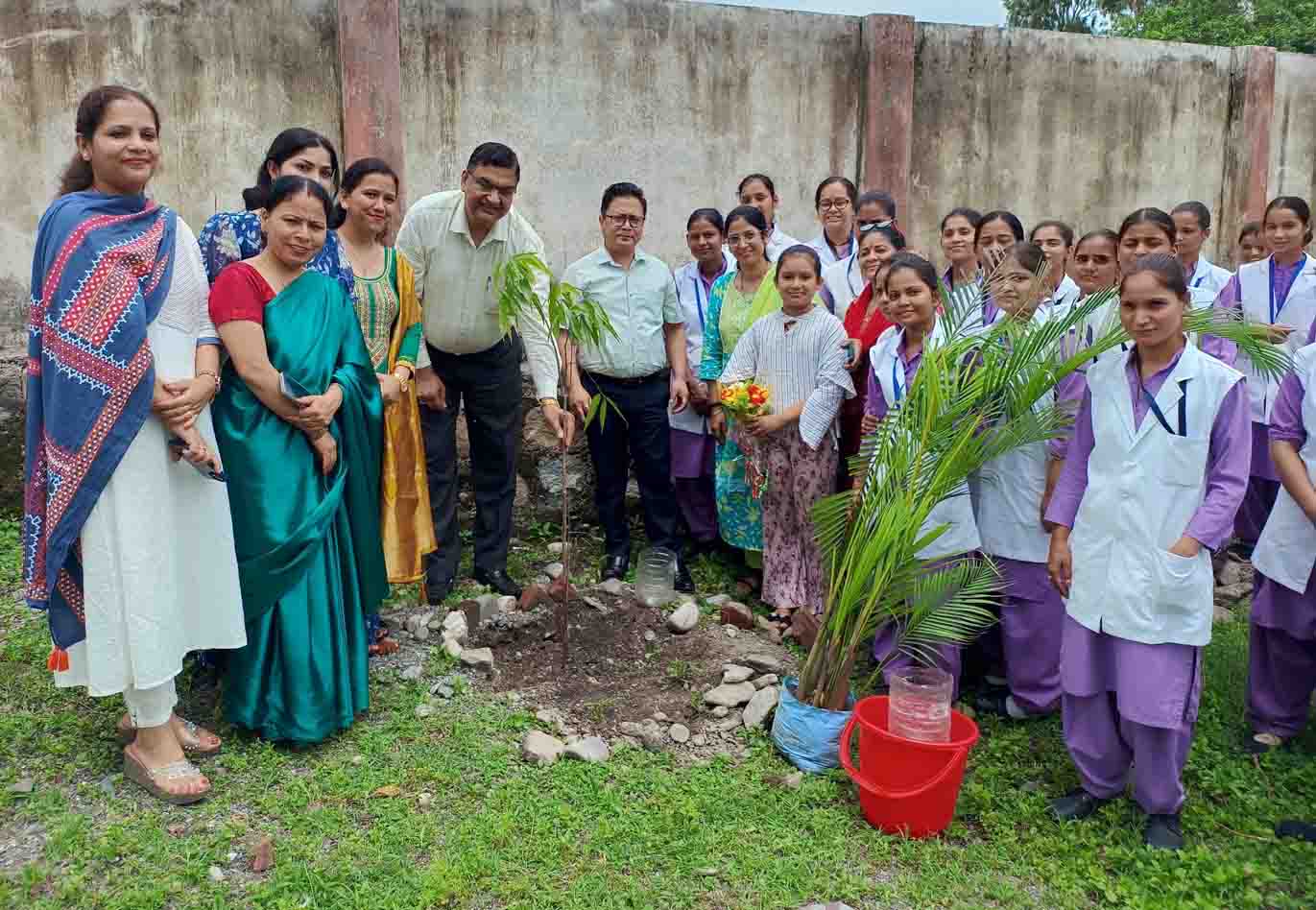 Health Dept planted 90 saplings during Harela