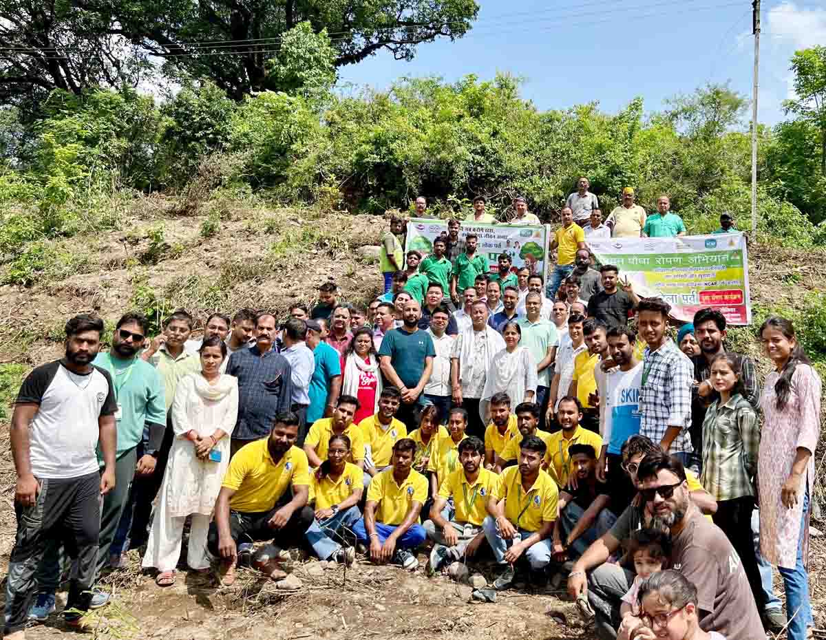 MCD plants 3,000 saplings on Harela