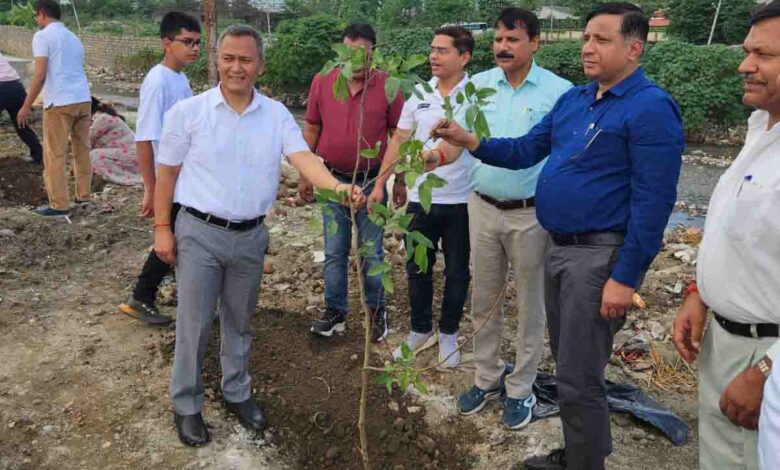 MDDA plants 4,000 plants and saplings on Harela