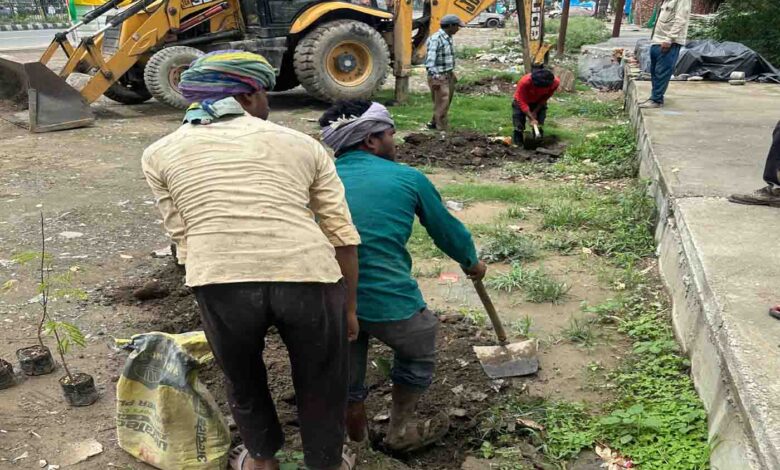 Over 2,000 saplings planted under Dehradun DM’s community driven plantation drive