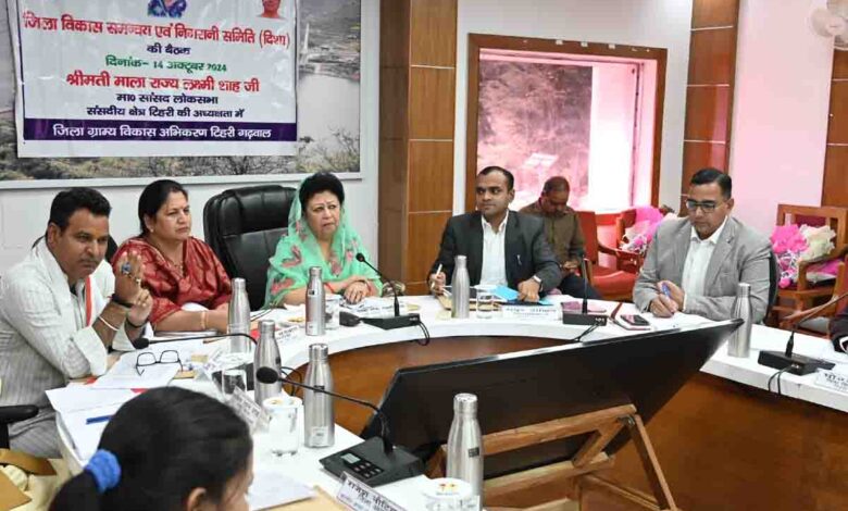 Tehri MP directs officers to take electricity to every household