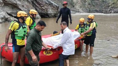 Five dead after car falls down mountainside into river