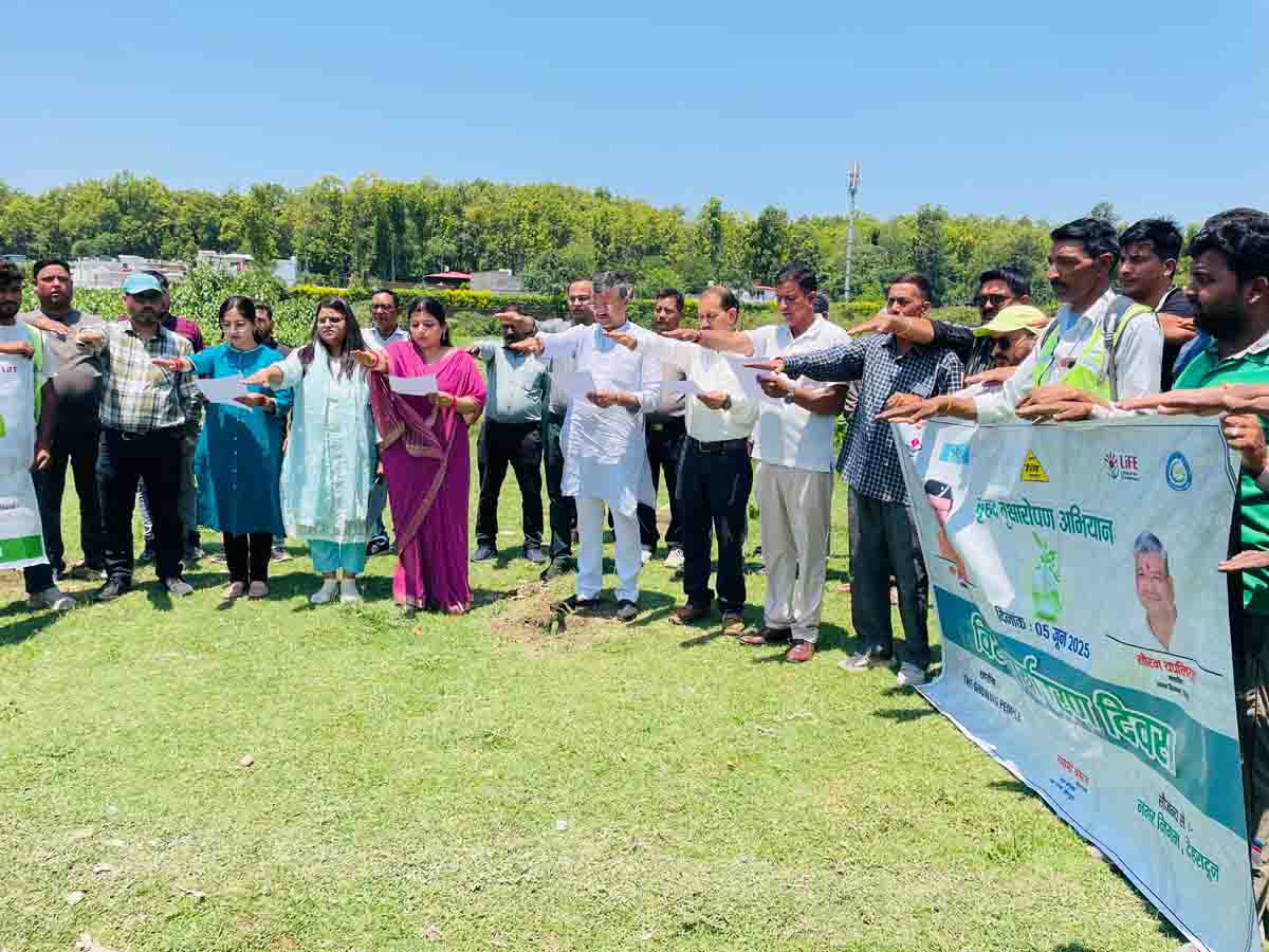 MCD plants 5,100 trees, collects plastic waste on World Environment Day