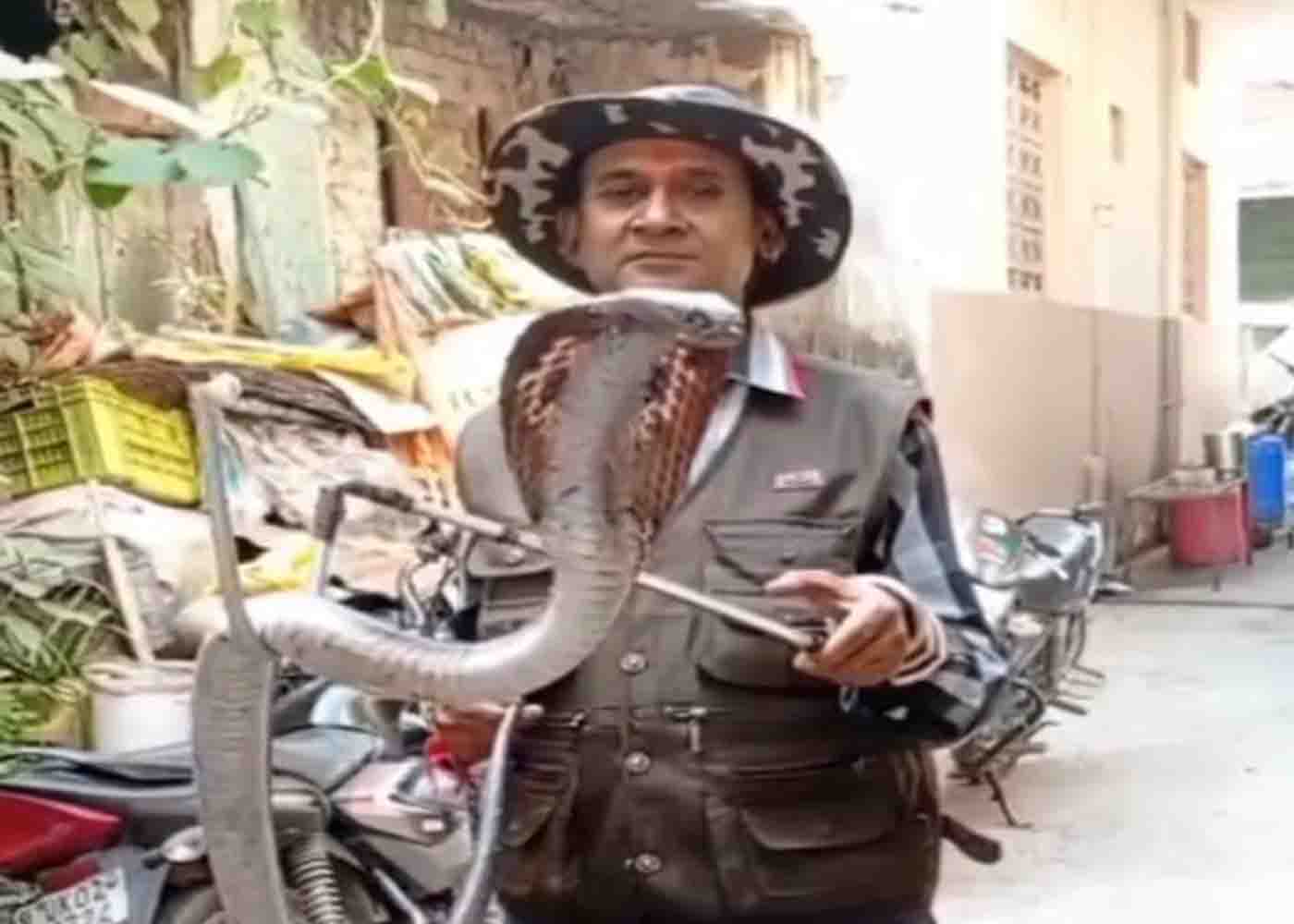 Snake menace raises its hood in Terai forest, deepening people’s insecurity