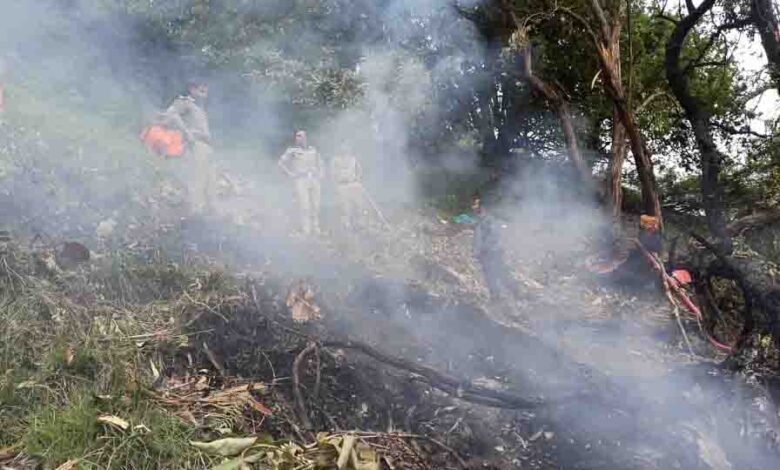 helicopter crash