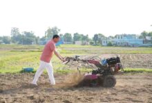 To boost organic farming, CM tills with cow dung as manure