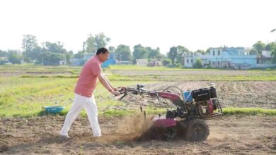 To boost organic farming, CM tills with cow dung as manure