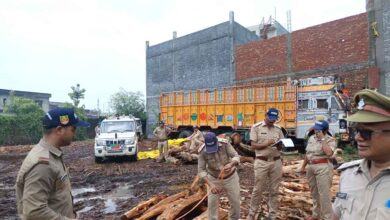 Forest dept seizes 25 cubic metres of khair logs in Baheri raid
